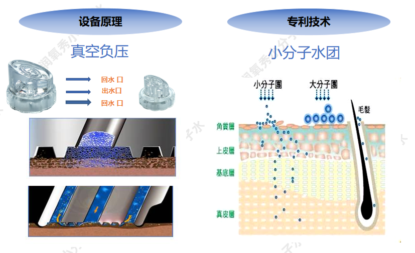 疏通头皮毛囊是智商税吗？润氧秀是如何实现毛囊清洁的？